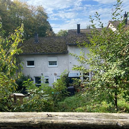 In Saarbruecken Stadtnahe Gemuetliche Wohnung Am Deutsch-Franzoesischen Garten Exterior photo