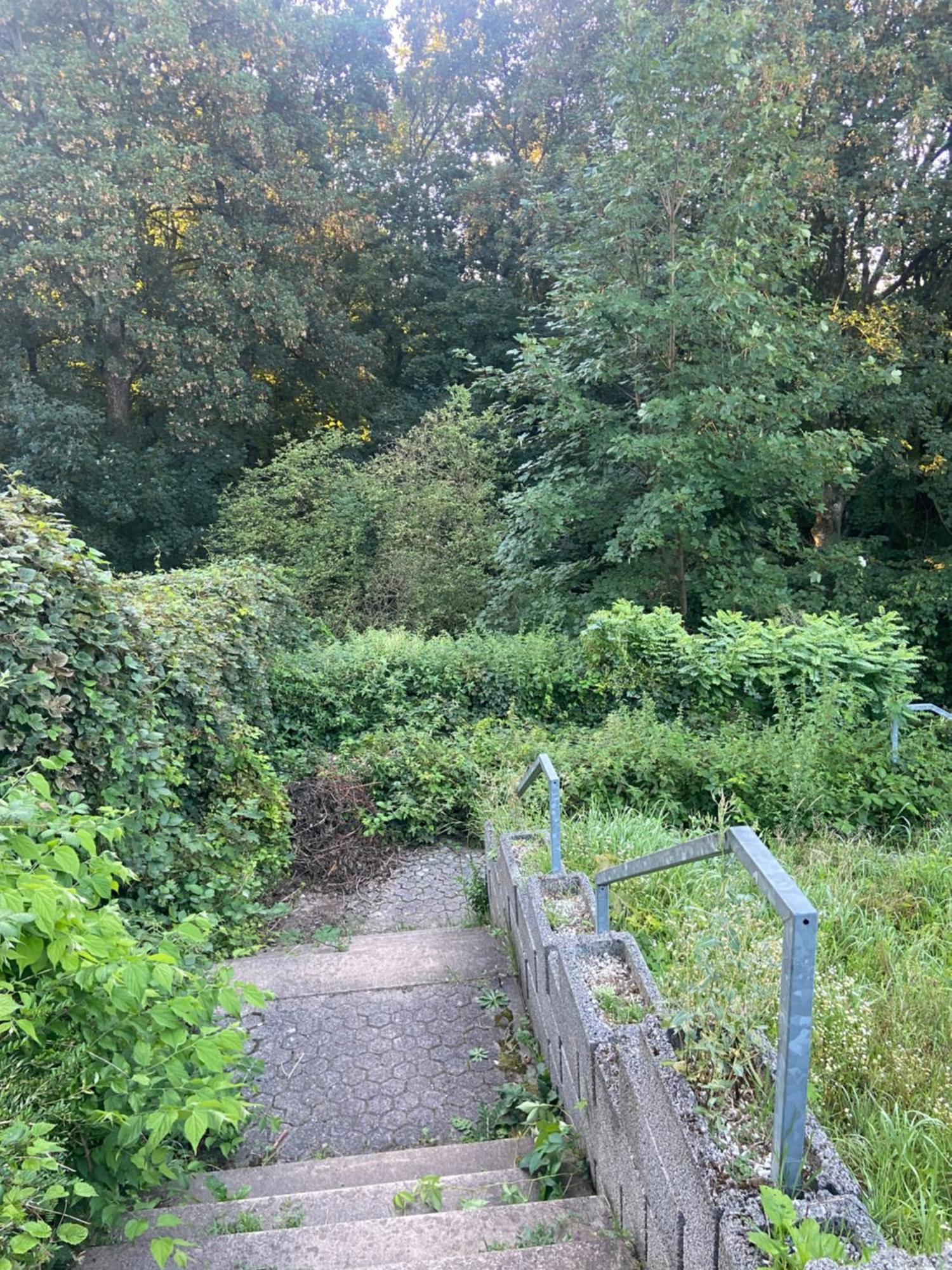 In Saarbruecken Stadtnahe Gemuetliche Wohnung Am Deutsch-Franzoesischen Garten Exterior photo